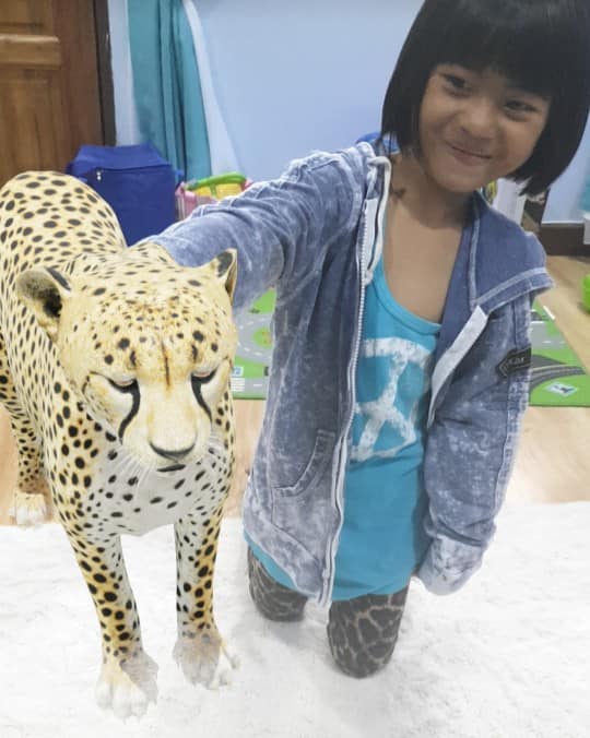 Cara Bawa Haiwan Dari Zoo Ke Dalam Rumah Guna Google, Nampak Real!