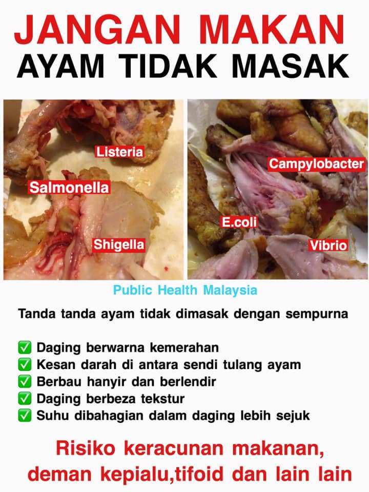 Bahaya Makan Ayam Tidak Cukup Masak. Kenali Warna Ayam Yang Dimasak Sempurna