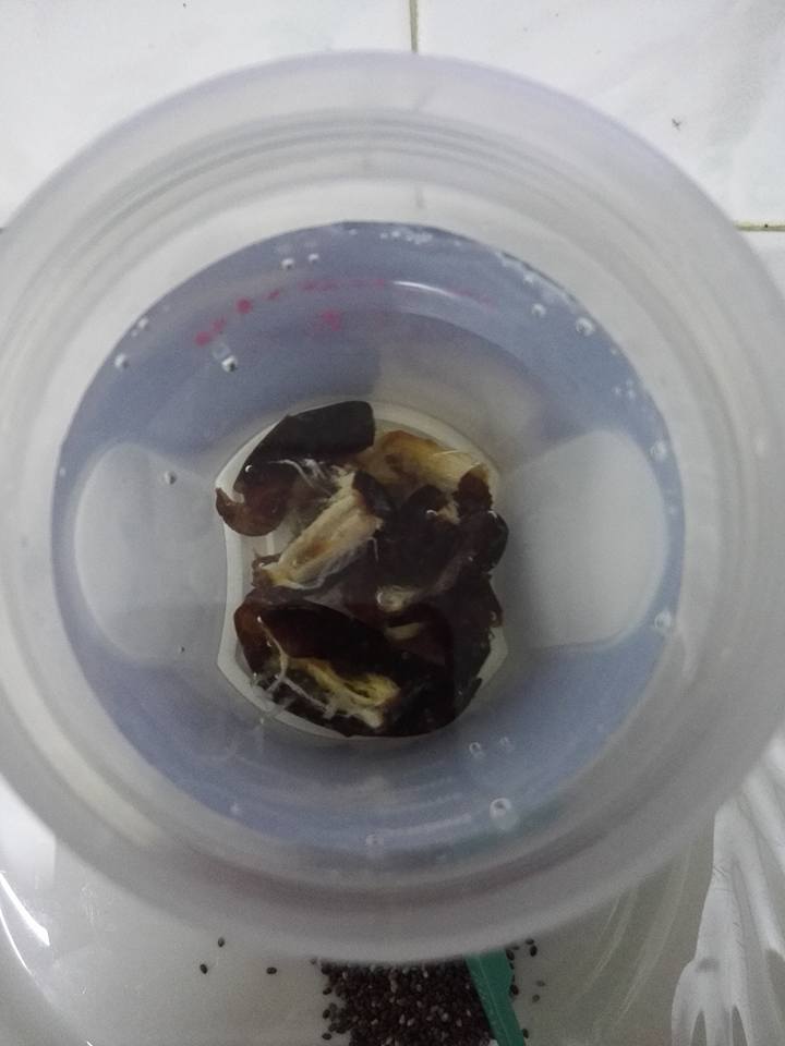 Menu Superfood Sahur, Cuba Gabung Chia Seed dan Kurma. Lihat Bagaimana Anda Akan Rasa Kenyang Nanti