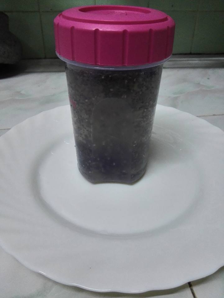 Menu Superfood Sahur, Cuba Gabung Chia Seed dan Kurma. Lihat Bagaimana Anda Akan Rasa Kenyang Nanti