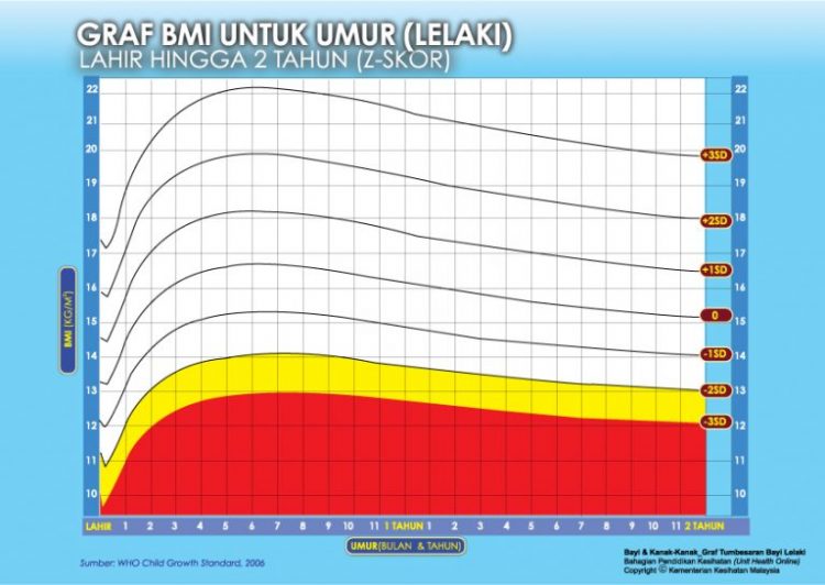 Cara Kira BMI Untuk Dewasa, Kanak-kanak & Ibu Mengandung