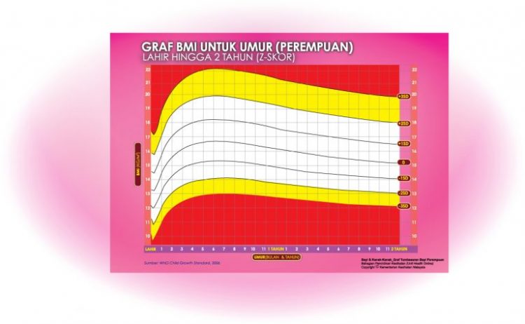 Cara Kira BMI Untuk Dewasa, Kanak-kanak & Ibu Mengandung