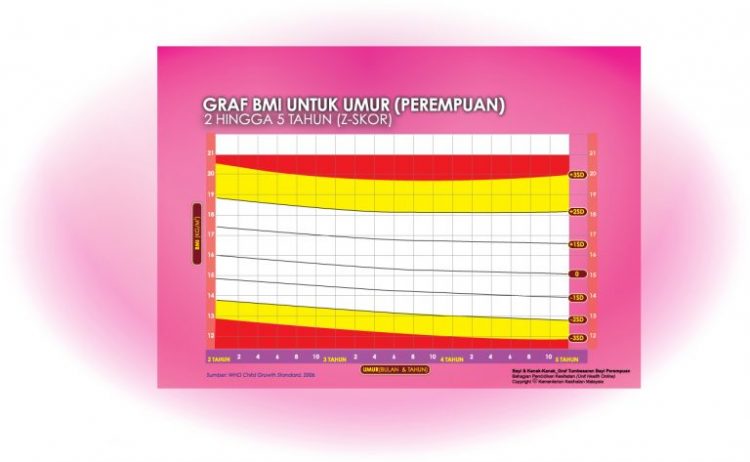 Cara Kira BMI Untuk Dewasa, Kanak-kanak & Ibu Mengandung