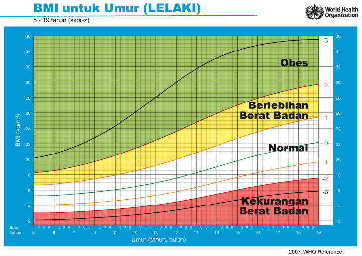 Cara Kira BMI Untuk Dewasa, Kanak-kanak & Ibu Mengandung
