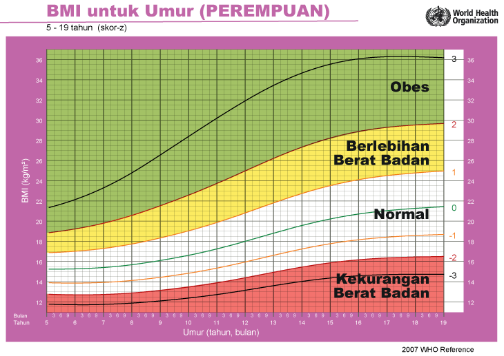 Cara Kira BMI Untuk Dewasa, Kanak-kanak & Ibu Mengandung