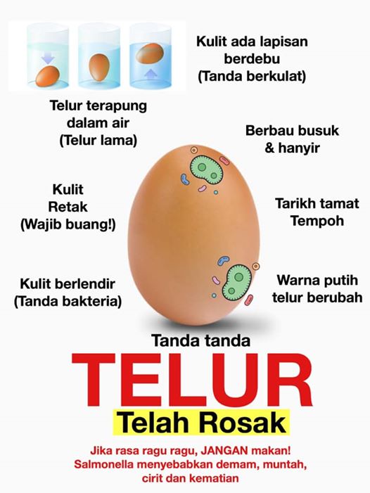 Cara Mudah Kenalpasti Tanda-Tanda Telur Sudah Rosak