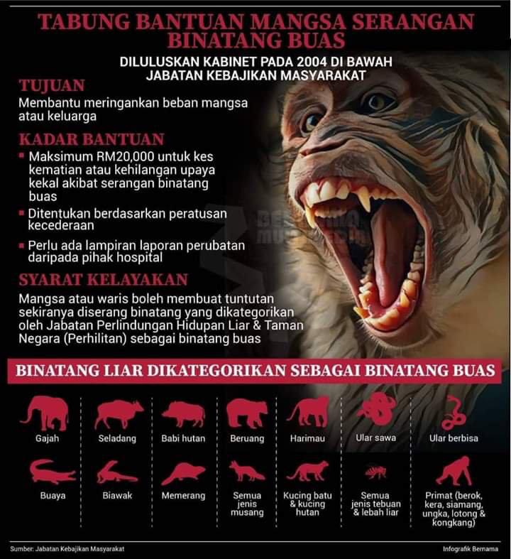 Mohon Bantuan JKM RM20,000 Sekiranya Anda Terkena Serangan Binatang Buas