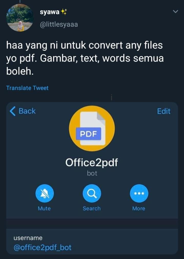 Pelbagai Fungsi Telegram Yang Ramai Tak Tahu. Antaranya Boleh Download Video Youtube & Convert Jenis Fail