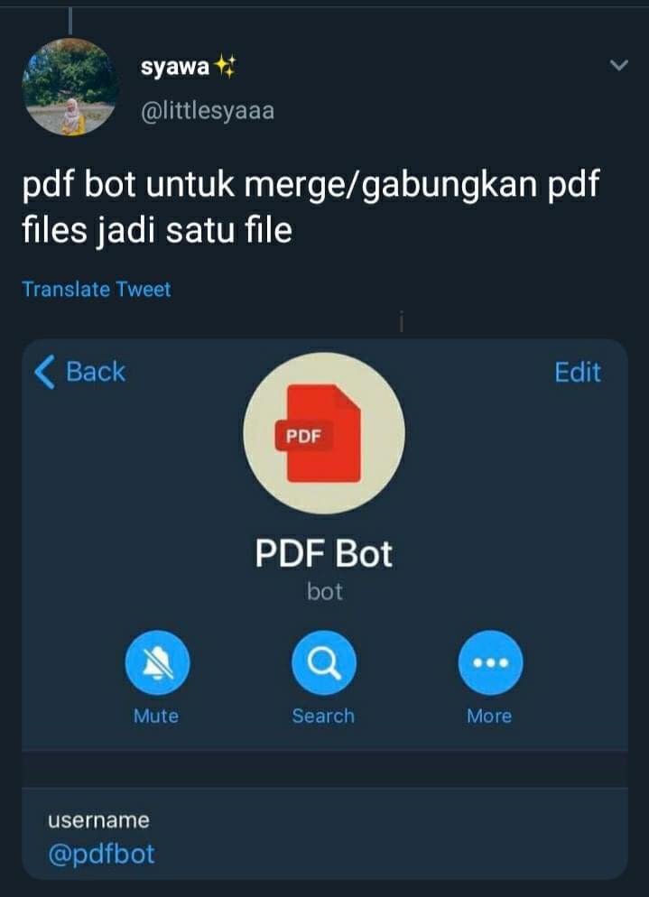 Pelbagai Fungsi Telegram Yang Ramai Tak Tahu. Antaranya Boleh Download Video Youtube & Convert Jenis Fail