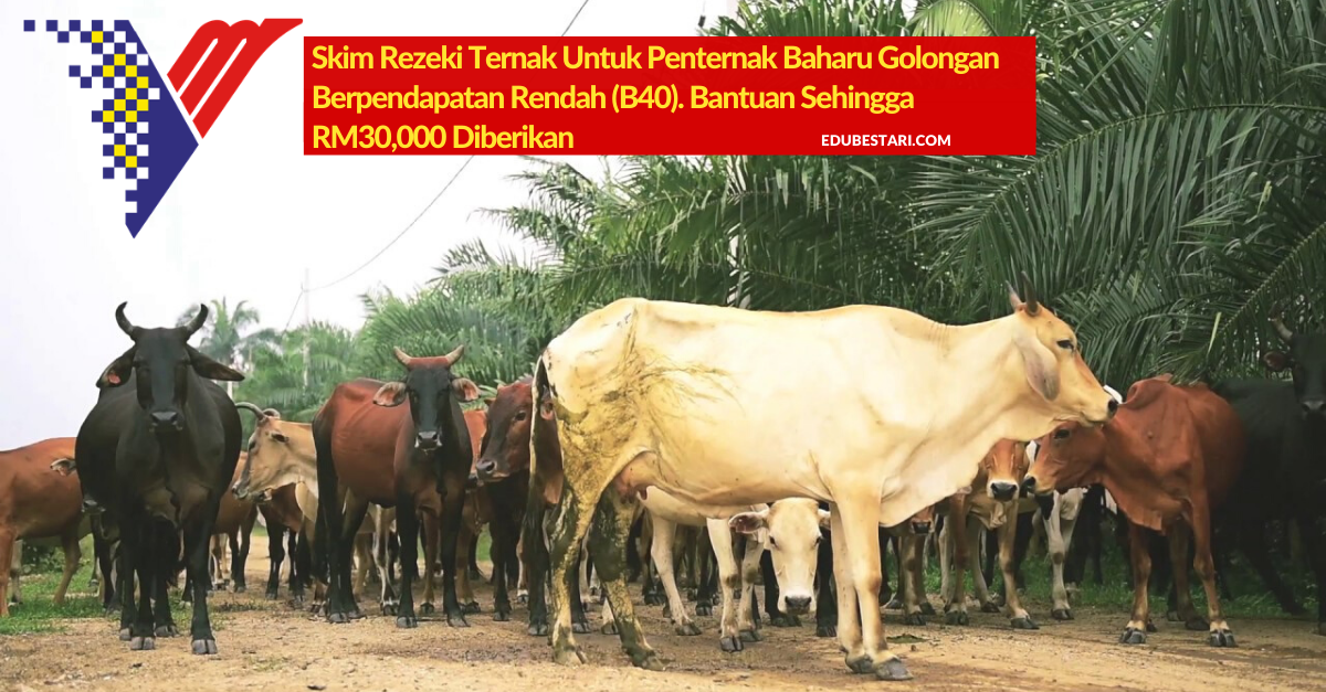 Skim Rezeki Ternak Untuk Penternak Baharu Golongan Berpendapatan Rendah (B40). Bantuan Sehingga RM30,000 Diberikan