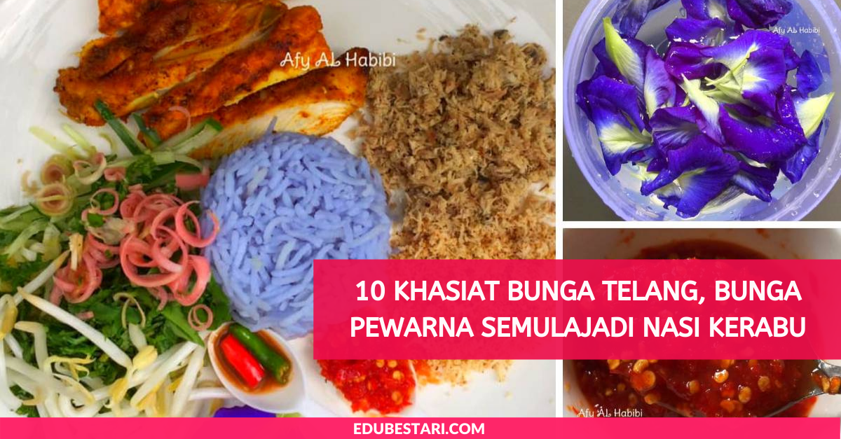 10 Khasiat Lain Bunga Telang, Bukan Sekadar Bunga Pewarna Semulajadi Nasi Kerabu