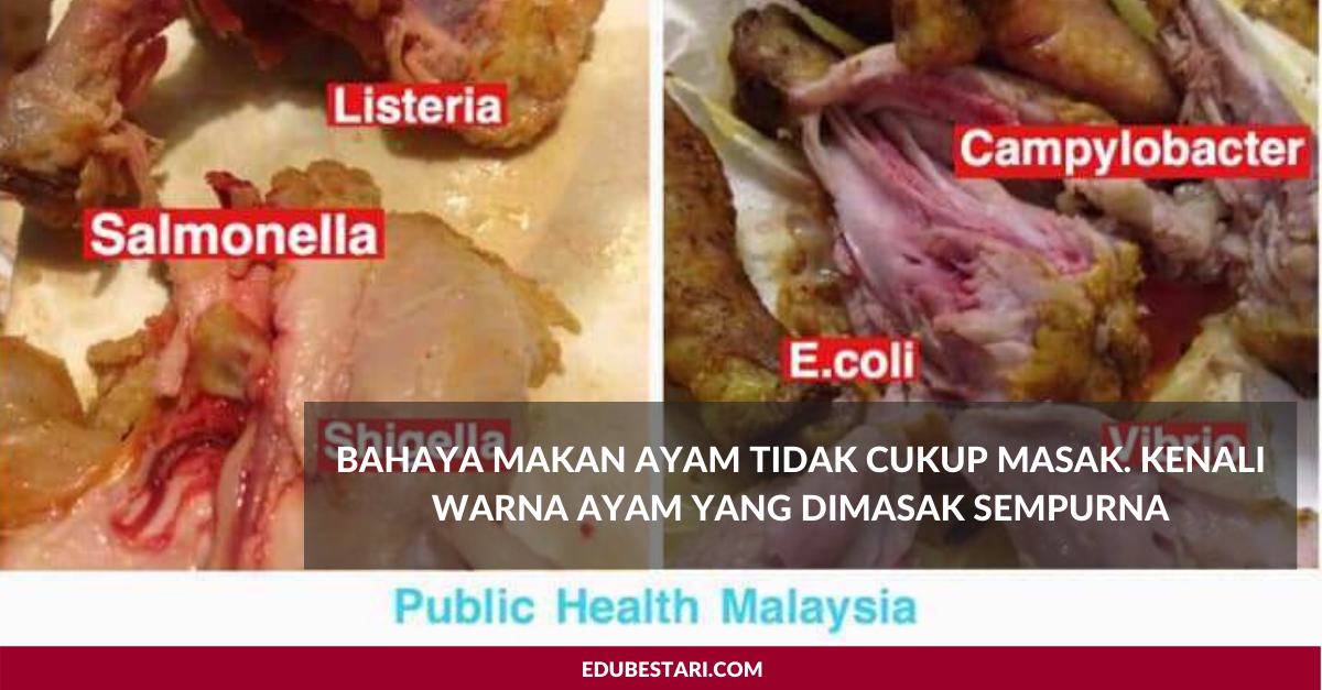 Bahaya Makan Ayam Tidak Cukup Masak. Kenali Warna Ayam Yang Dimasak Sempurna