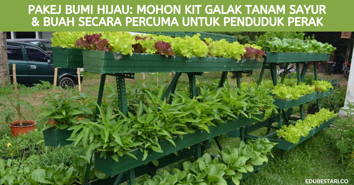 Pakej Bumi Hijau: Mohon Kit Galak Tanam Sayur & Buah Secara Percuma Untuk Penduduk Perak