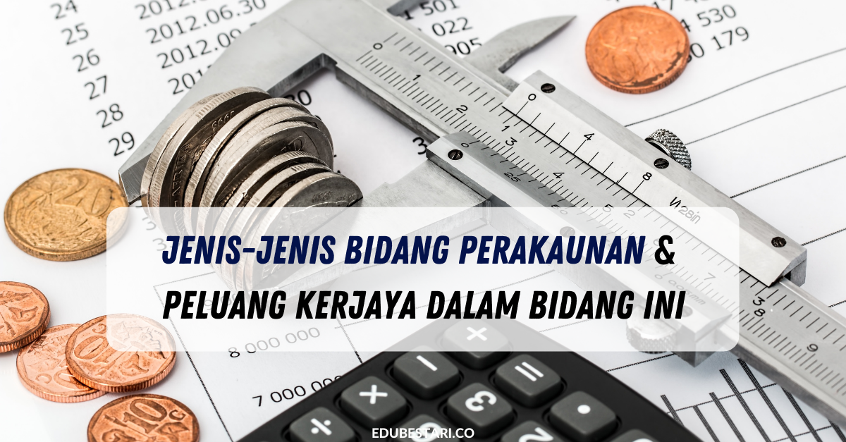 Jenis-Jenis Bidang Perakaunan & Peluang Kerjaya Dalam Bidang Ini
