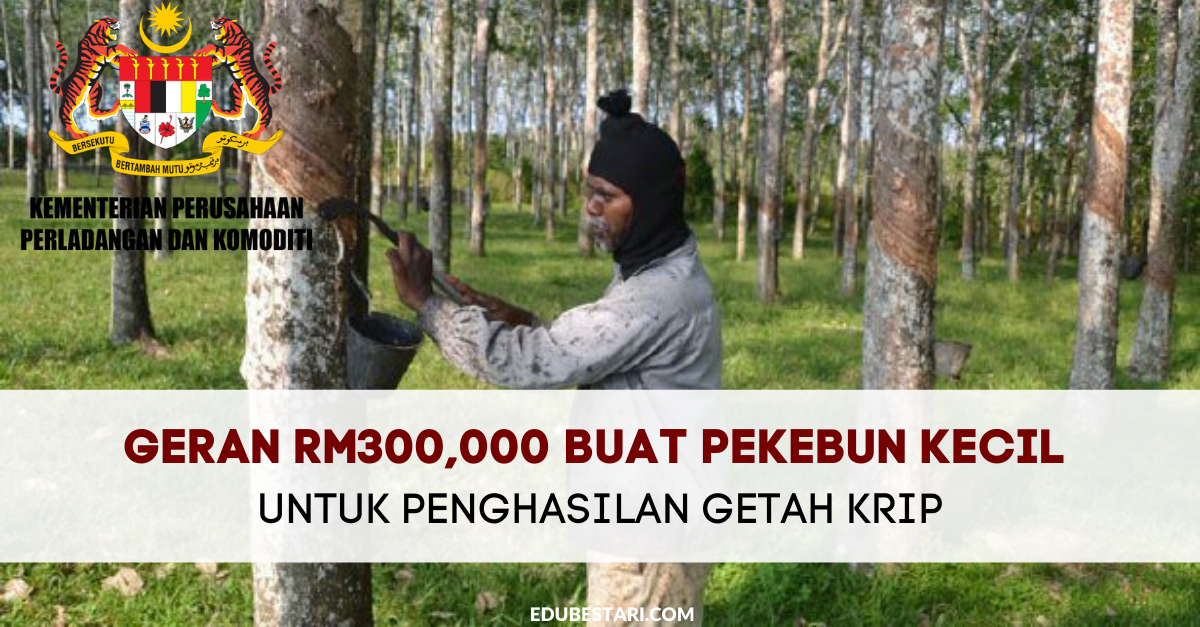 Geran RM300,000 Buat Pekebun Kecil Untuk Penghasilan Getah Krip