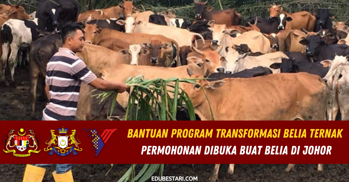 Permohonan Bantuan Program Transformasi Belia Ternak Dibuka Buat Belia Di Johor
