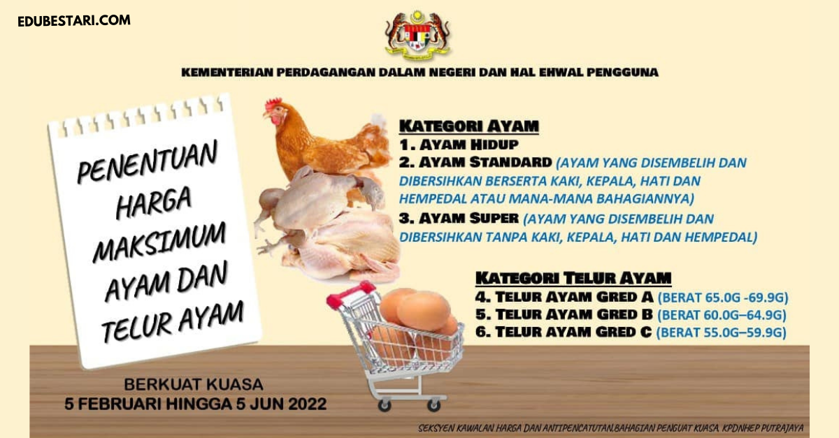 Senarai Harga Maksimum Terkini Bagi Ayam & Telur Ayam. Peniaga Letak Harga Tinggi Boleh Didenda