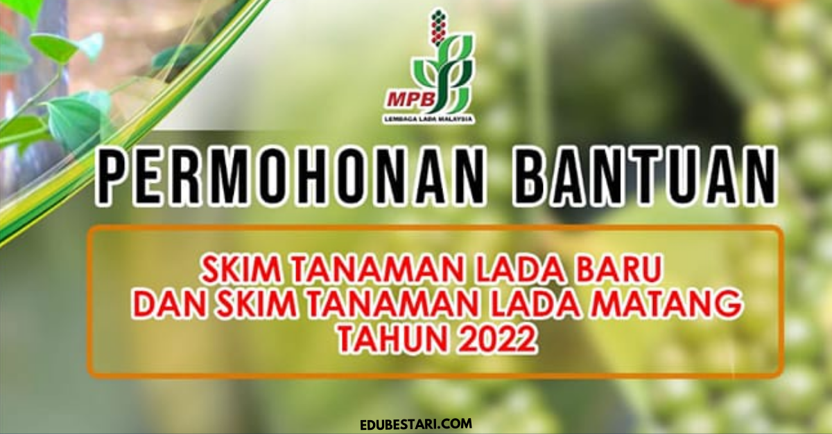 Mohon Bantuan Skim Tanaman Lada Baru Dan Lada Matang 2022
