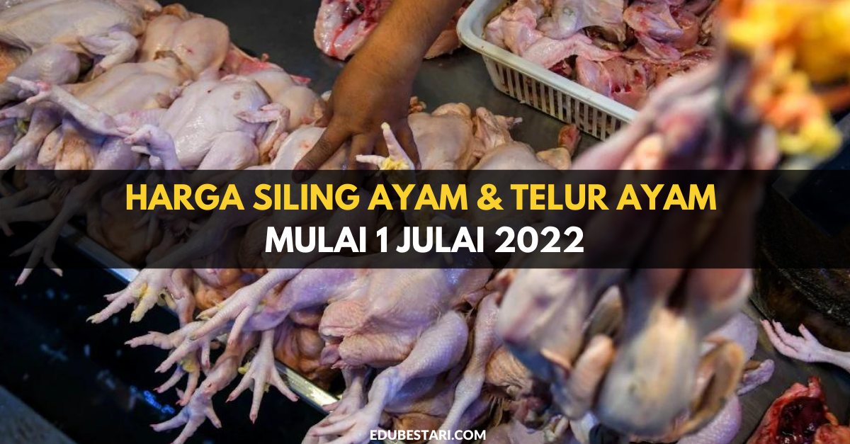 Harga Siling Ayam & Telur Ayam Mulai 1 Julai 2022