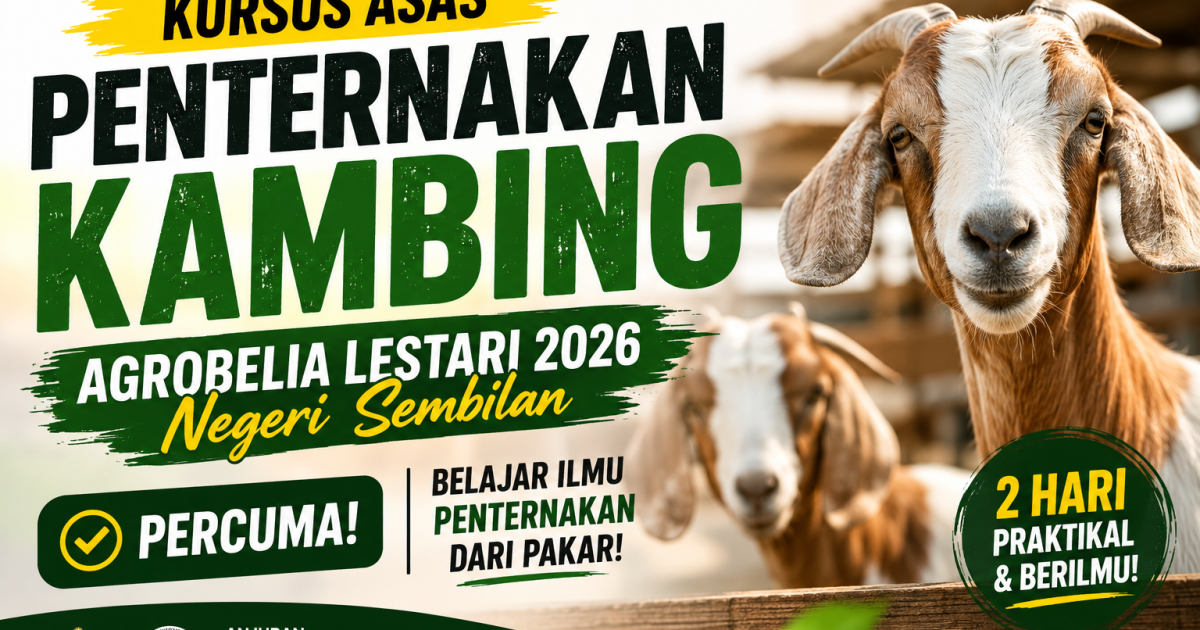 Belia Negeri Sembilan Nak Belajar Ternak Kambing? Kursus Percuma 2 Hari Ini Memang Patut Grab